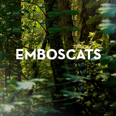 Roger Mas – Emboscats (Music)