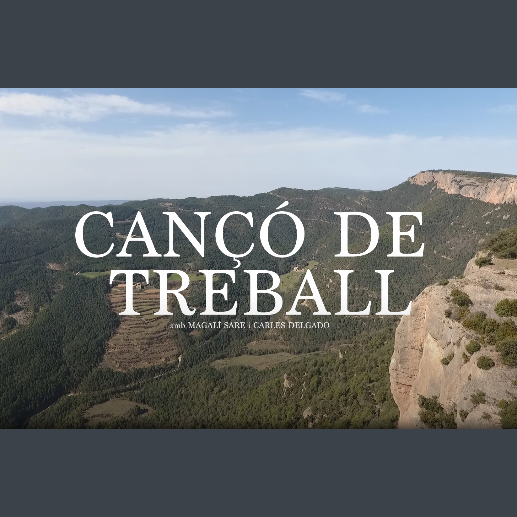 Cançó de treball