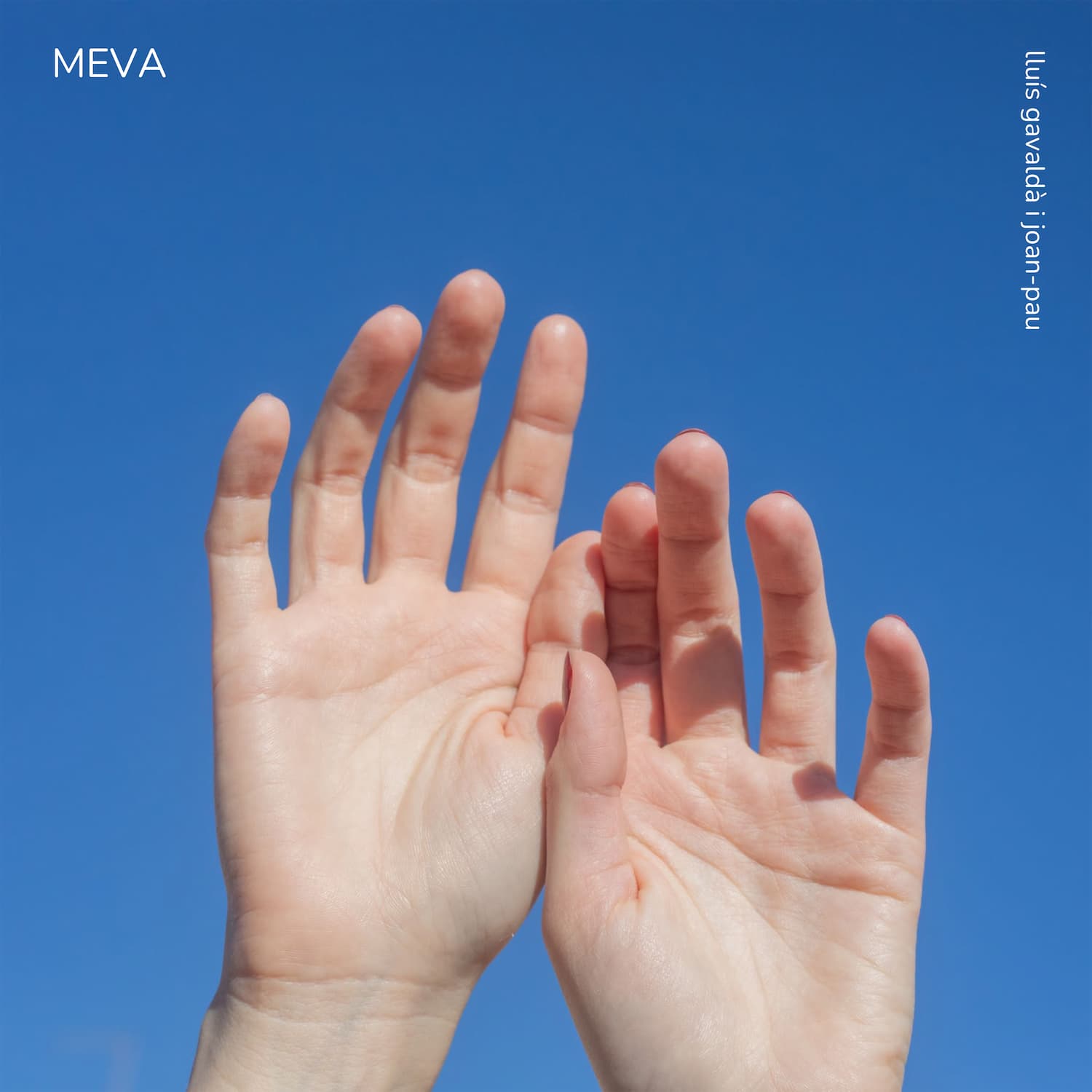 Meva